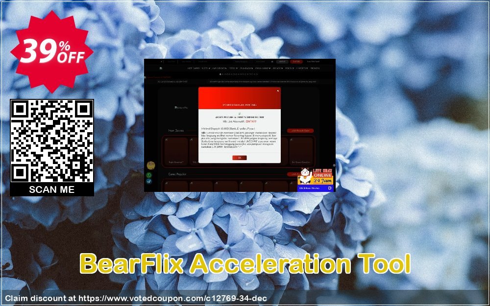 BearFlix Acceleration Tool Coupon, discount 35% discount to any of our products. Promotion: 35% discount for any of our products
