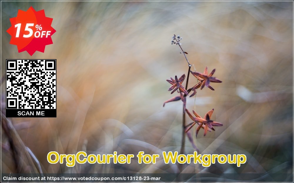 OrgCourier for Workgroup Coupon, discount OrgBusiness coupon (13128). Promotion: OrgBusiness discount coupon (13128)