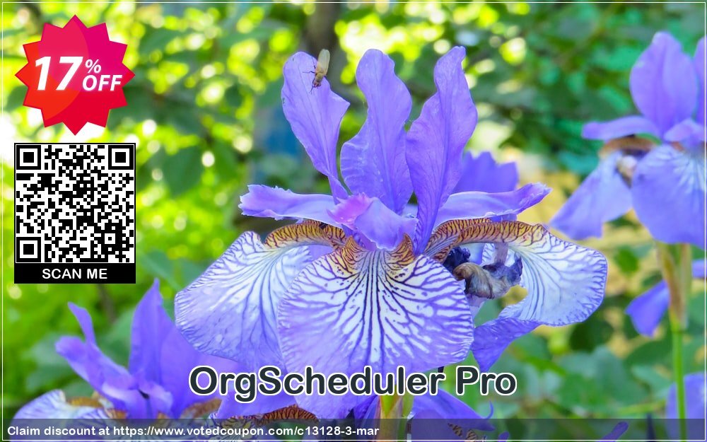 OrgScheduler Pro Coupon, discount OrgBusiness coupon (13128). Promotion: OrgBusiness discount coupon (13128)