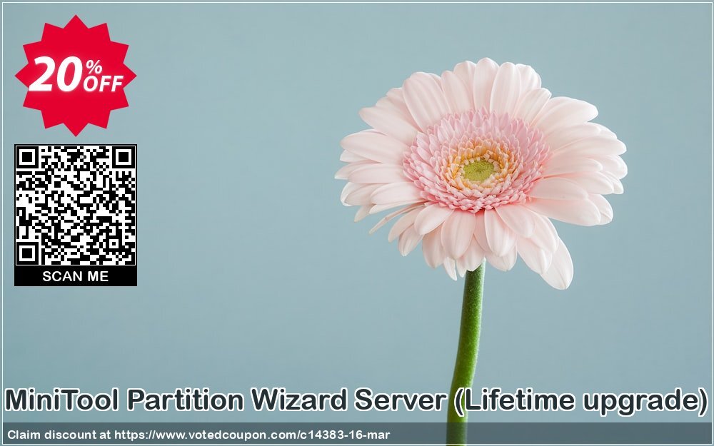 MiniTool Partition Wizard Server, Lifetime upgrade  Coupon, discount 20% off. Promotion: 