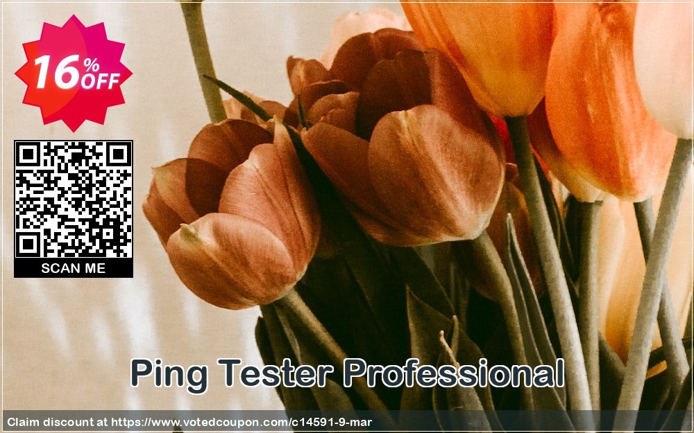 Ping Tester Professional Coupon Code May 2024, 16% OFF - VotedCoupon