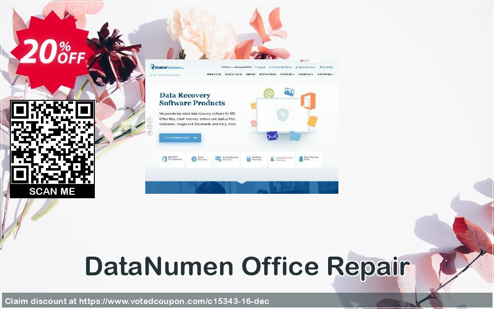 DataNumen Office Repair Coupon, discount Education Coupon. Promotion: Coupon for educational and non-profit organizations