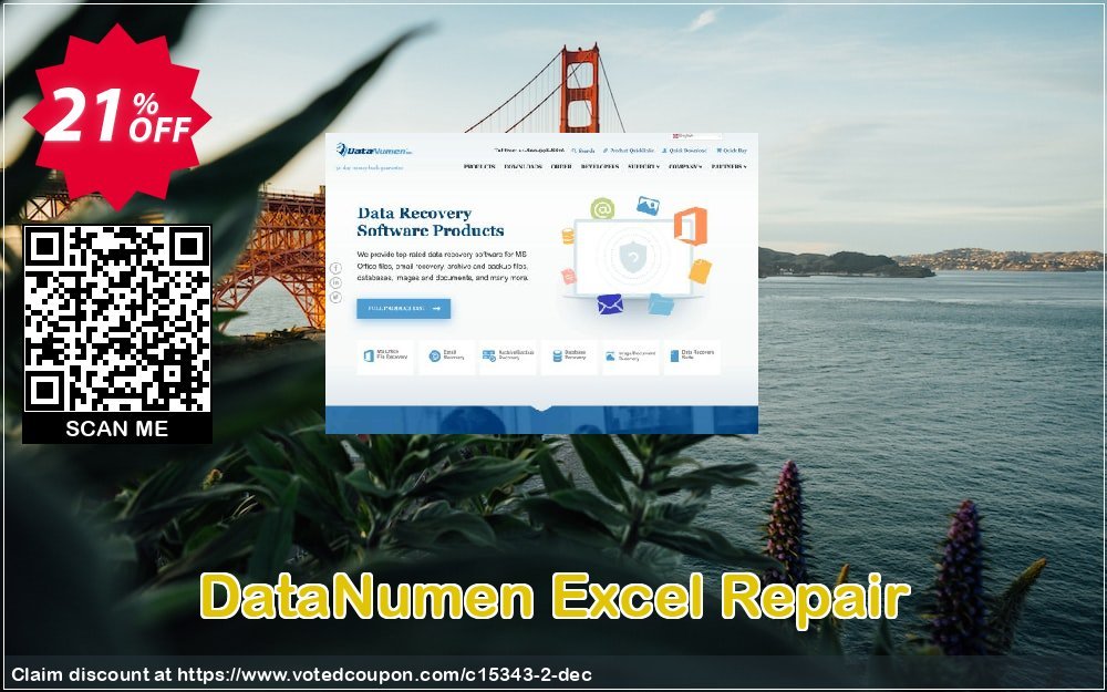 DataNumen Excel Repair Coupon, discount Education Coupon. Promotion: Coupon for educational and non-profit organizations