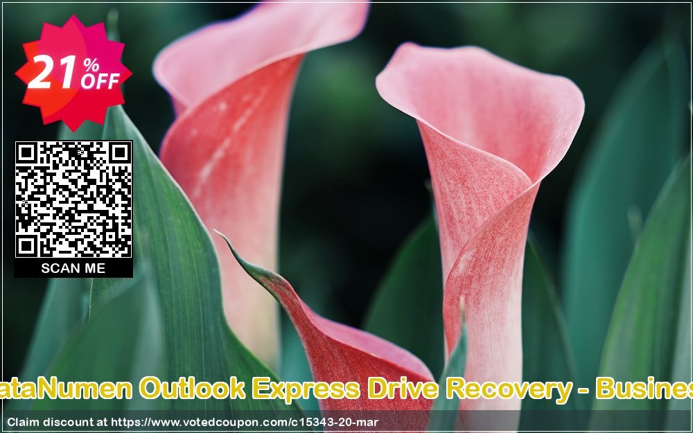 DataNumen Outlook Express Drive Recovery - Business Coupon Code Apr 2024, 21% OFF - VotedCoupon