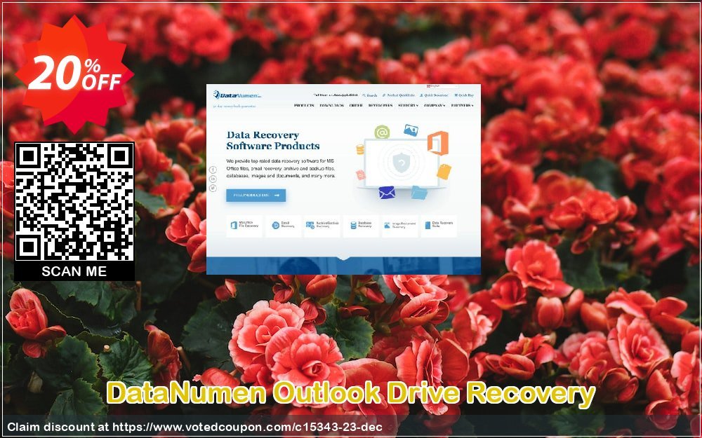 DataNumen Outlook Drive Recovery Coupon, discount Education Coupon. Promotion: Coupon for educational and non-profit organizations