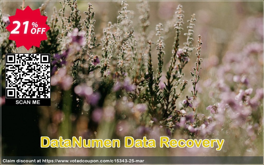 DataNumen Data Recovery Coupon, discount Education Coupon. Promotion: Coupon for educational and non-profit organizations