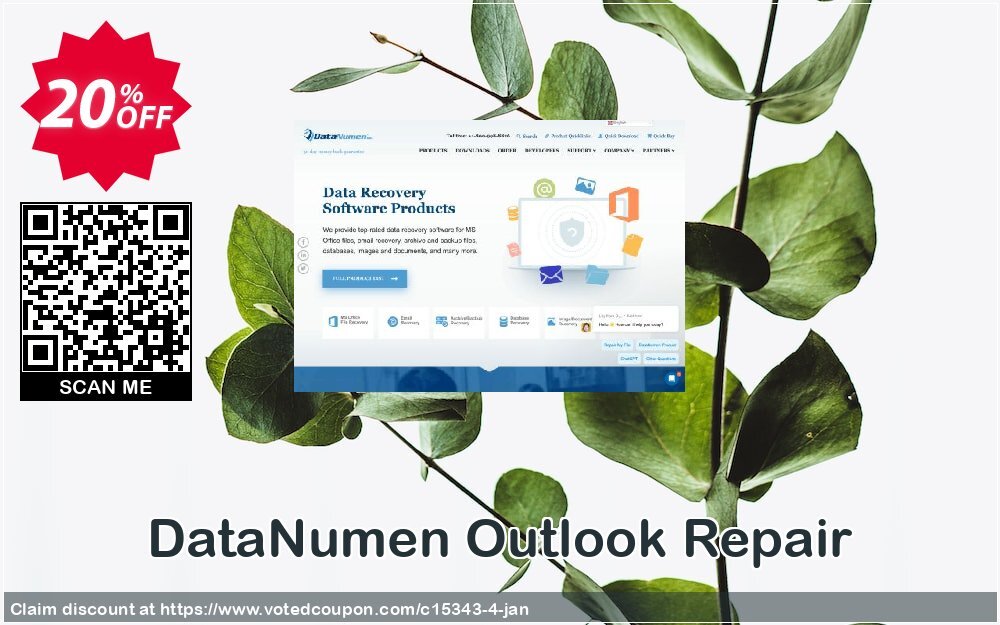 DataNumen Outlook Repair Coupon, discount Education Coupon. Promotion: Coupon for educational and non-profit organizations