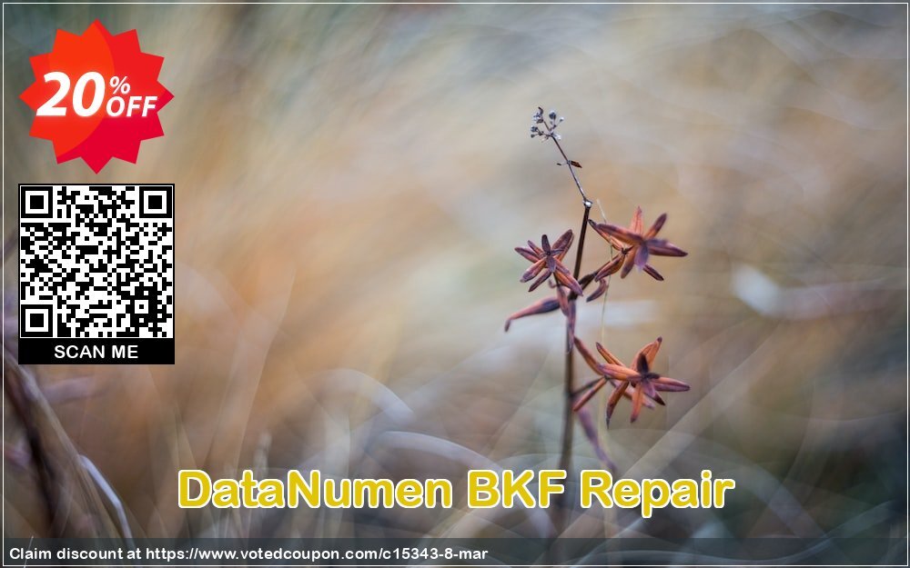 DataNumen BKF Repair Coupon, discount Education Coupon. Promotion: Coupon for educational and non-profit organizations