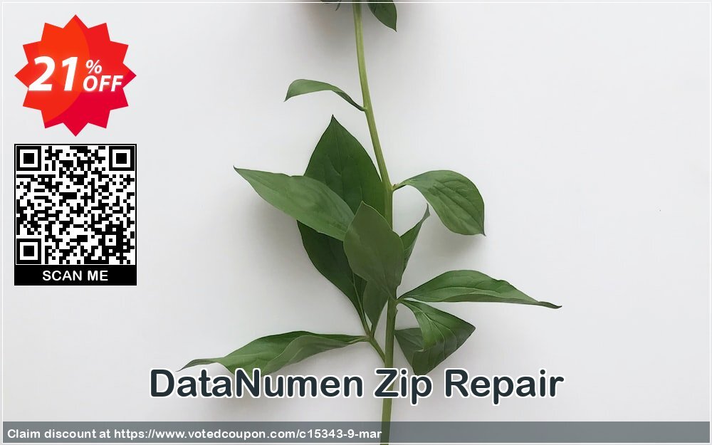 DataNumen Zip Repair Coupon Code May 2024, 21% OFF - VotedCoupon