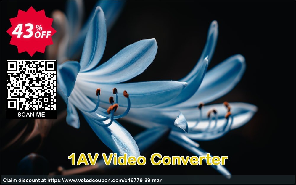 1AV Video Converter Coupon, discount GLOBAL40PERCENT. Promotion: 90% Discount