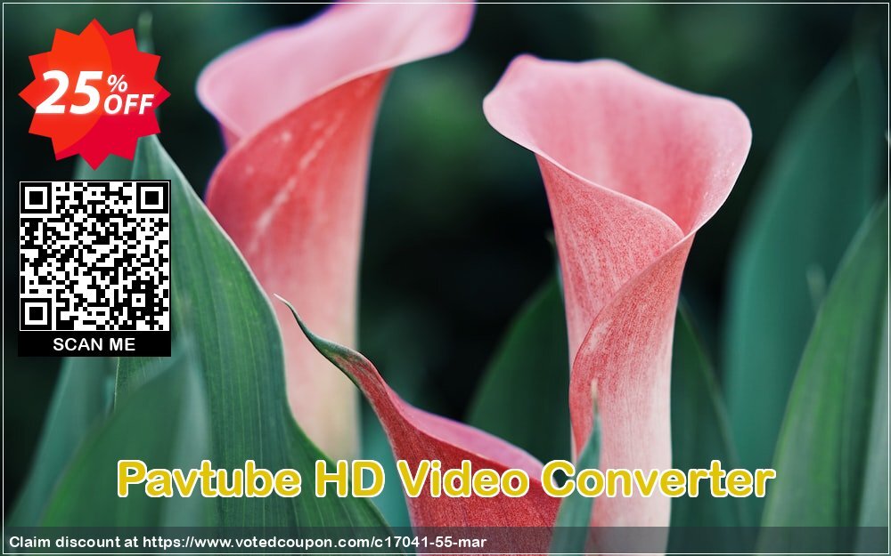 Pavtube HD Video Converter Coupon, discount Pavtube Studio discount coupon (17041). Promotion: Pavtube Studio coupon codes (17041)