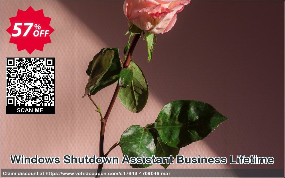 WINDOWS Shutdown Assistant Business Lifetime Coupon Code May 2024, 57% OFF - VotedCoupon