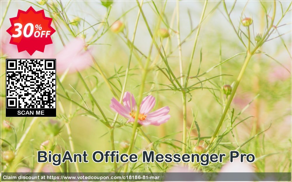 BigAnt Office Messenger Pro Coupon Code Apr 2024, 30% OFF - VotedCoupon