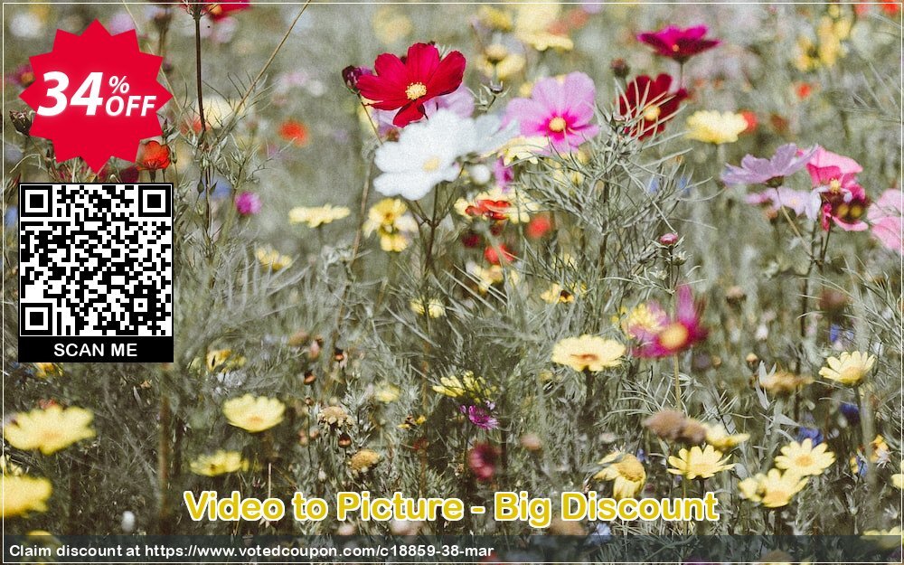 Video to Picture - Big Discount Coupon Code Apr 2024, 34% OFF - VotedCoupon