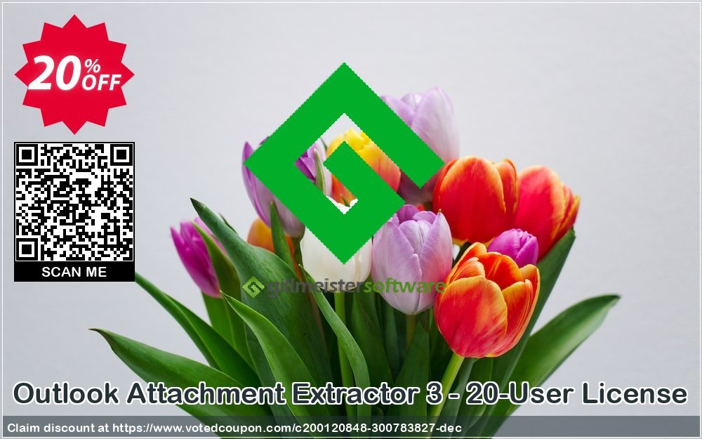 Outlook Attachment Extractor 3 - 20-User Plan Coupon Code Jun 2024, 20% OFF - VotedCoupon