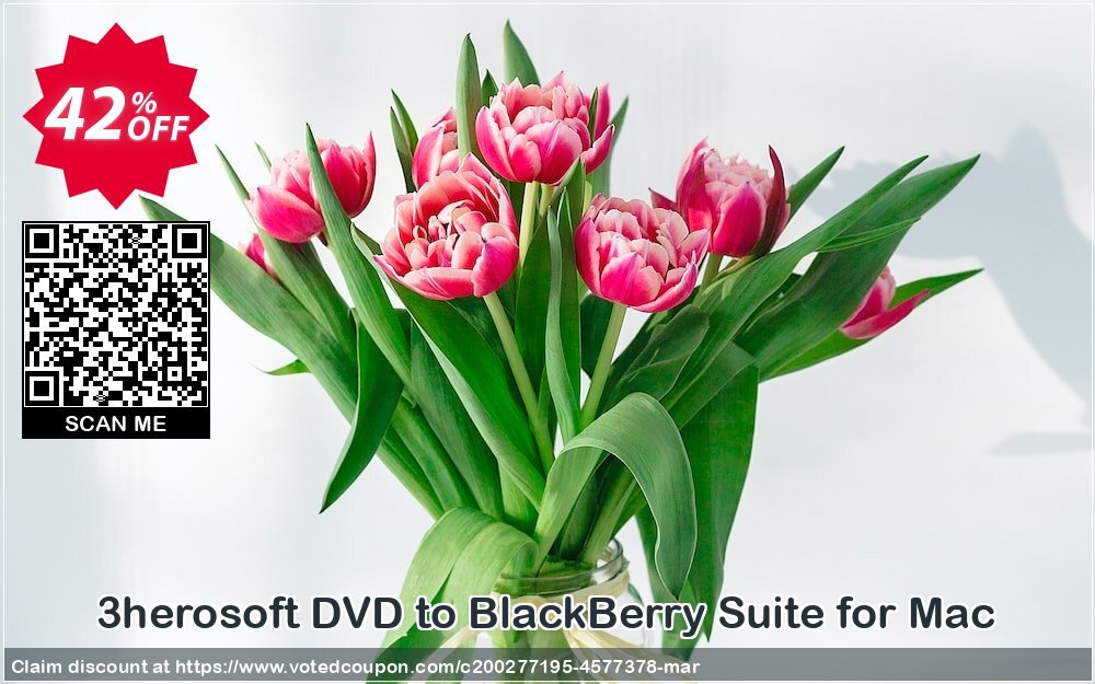 3herosoft DVD to BlackBerry Suite for MAC Coupon Code Apr 2024, 42% OFF - VotedCoupon