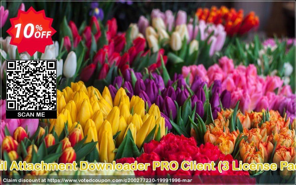 Mail Attachment Downloader PRO Client, 3 Plan Pack  Coupon Code Apr 2024, 10% OFF - VotedCoupon