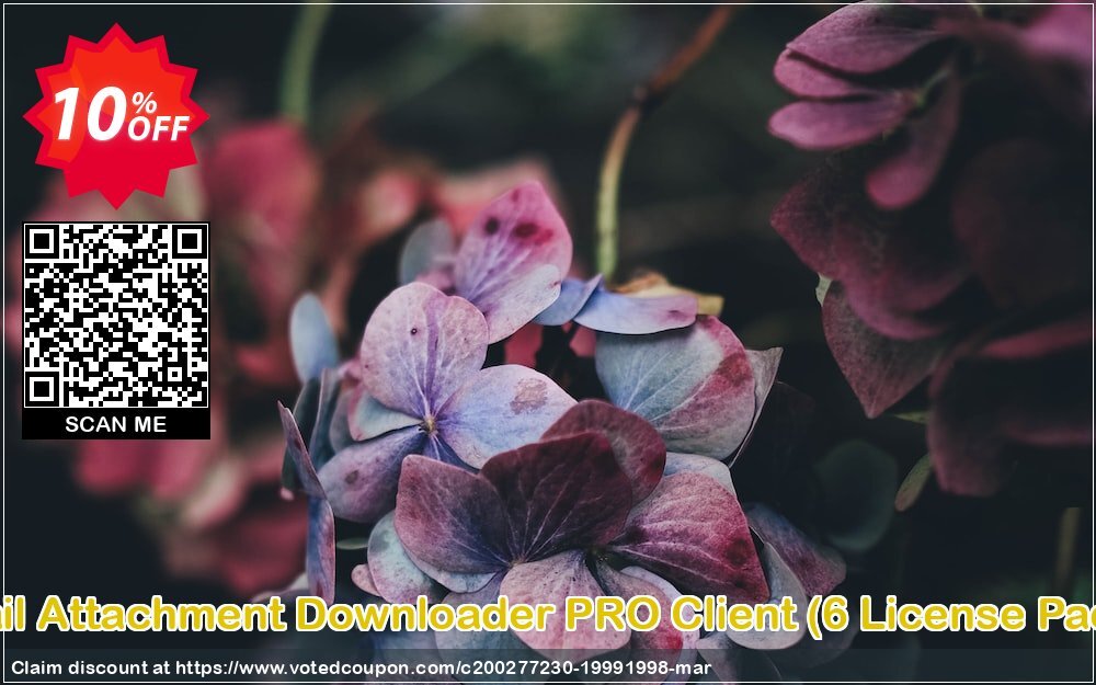 Mail Attachment Downloader PRO Client, 6 Plan Pack  Coupon, discount Mail Attachment Downloader PRO Client (6 License Pack) Formidable promo code 2024. Promotion: Formidable promo code of Mail Attachment Downloader PRO Client (6 License Pack) 2024