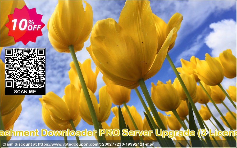 Mail Attachment Downloader PRO Server Upgrade, 3 Plan Pack  Coupon Code May 2024, 10% OFF - VotedCoupon