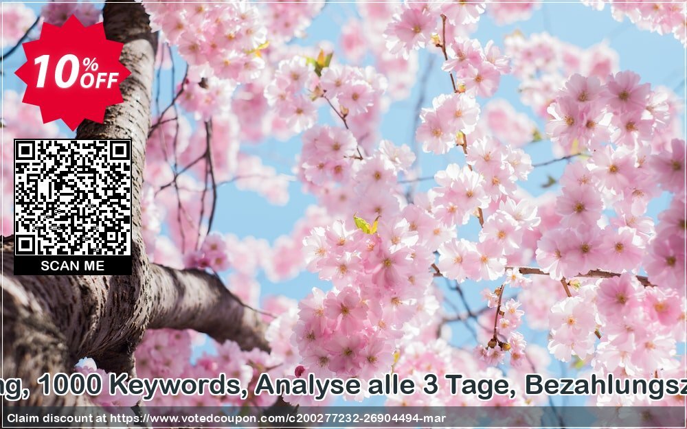 SEO-Dienstleistung, 1000 Keywords, Analyse alle 3 Tage, Bezahlungszeitraum 6 Monate Coupon Code Apr 2024, 10% OFF - VotedCoupon