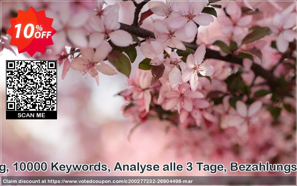 SEO-Dienstleistung, 10000 Keywords, Analyse alle 3 Tage, Bezahlungszeitraum 6 Monate Coupon Code Apr 2024, 10% OFF - VotedCoupon