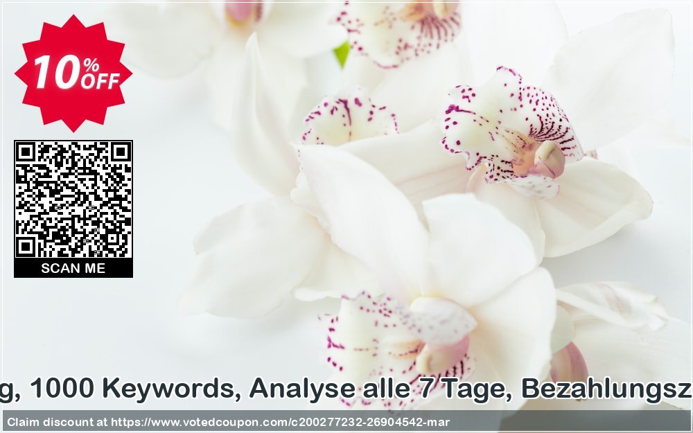 SEO-Dienstleistung, 1000 Keywords, Analyse alle 7 Tage, Bezahlungszeitraum 12 Monate Coupon Code Apr 2024, 10% OFF - VotedCoupon