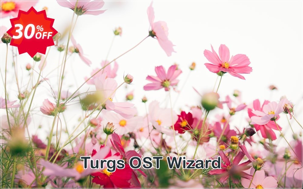 Turgs OST Wizard Coupon Code May 2025, 30% OFF - VotedCoupon