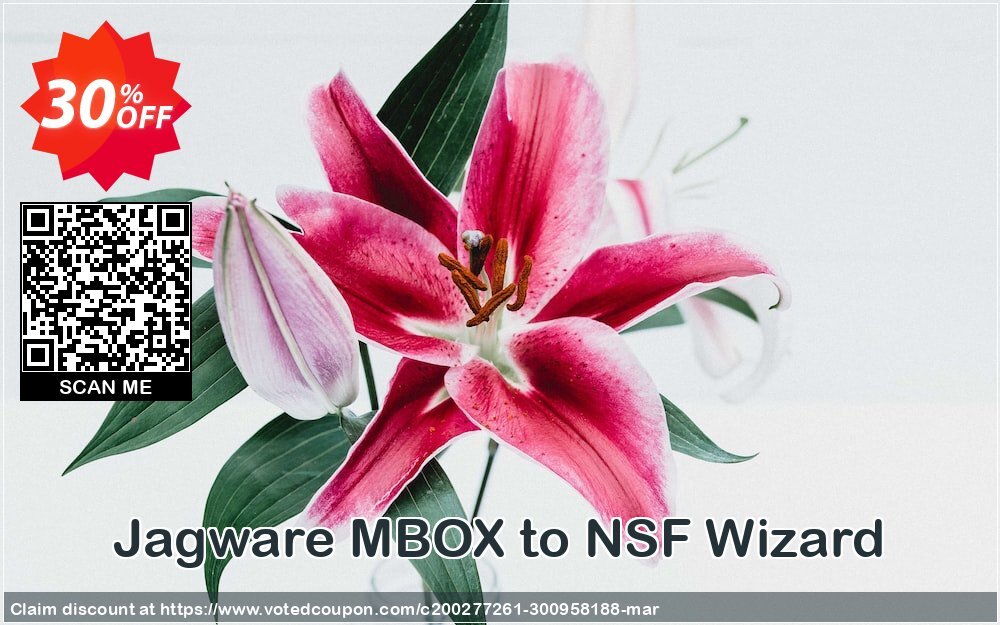 Jagware MBOX to NSF Wizard Coupon Code May 2024, 30% OFF - VotedCoupon