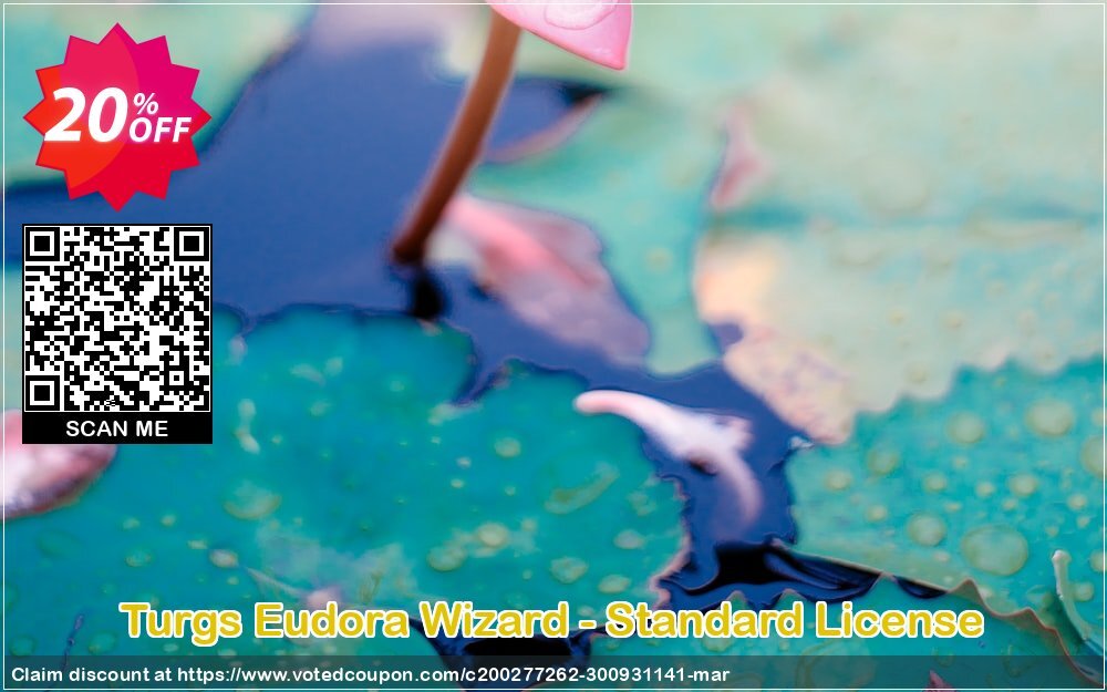 Turgs Eudora Wizard - Standard Plan Coupon Code Apr 2024, 10% OFF - VotedCoupon