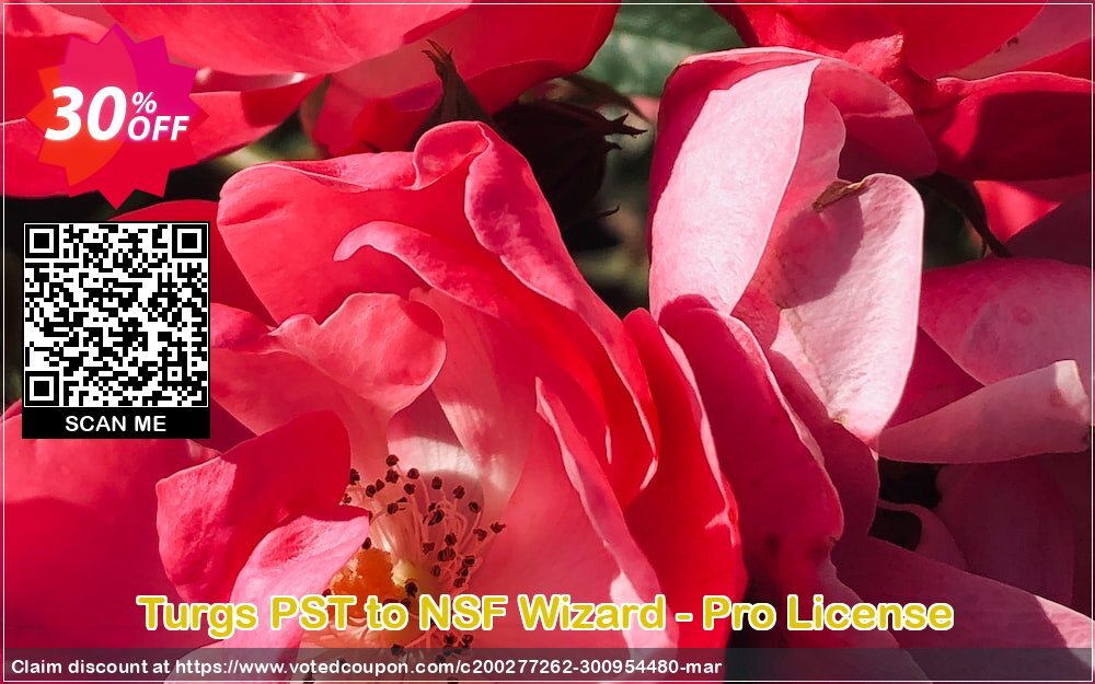 Turgs PST to NSF Wizard - Pro Plan Coupon, discount Coupon code Turgs PST to NSF Wizard - Pro License. Promotion: Turgs PST to NSF Wizard - Pro License offer from Turgs