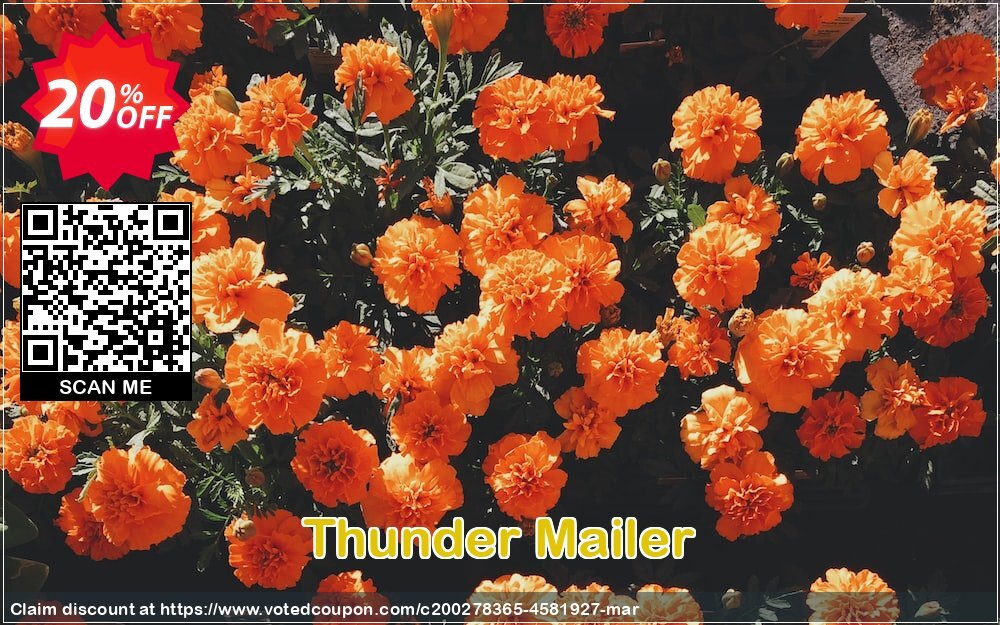 Thunder Mailer Coupon Code May 2024, 20% OFF - VotedCoupon