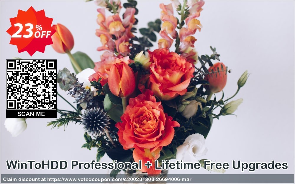 WinToHDD Professional + Lifetime Free Upgrades Coupon Code May 2024, 23% OFF - VotedCoupon