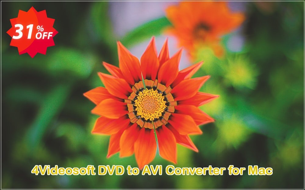 4Videosoft DVD to AVI Converter for MAC Coupon, discount 4Videosoft coupon (20911). Promotion: 