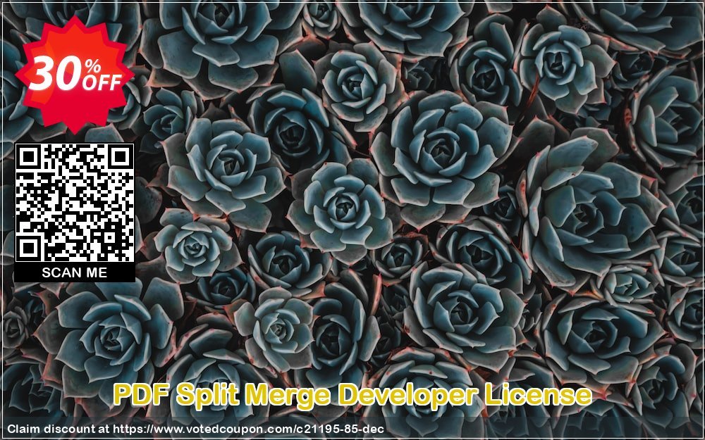 PDF Split Merge Developer Plan Coupon, discount all to all. Promotion: 