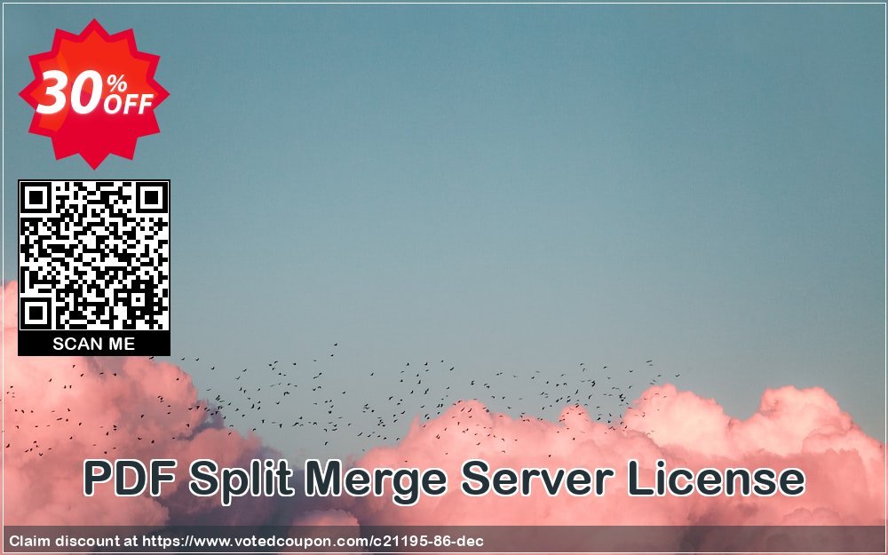 PDF Split Merge Server Plan Coupon, discount all to all. Promotion: 