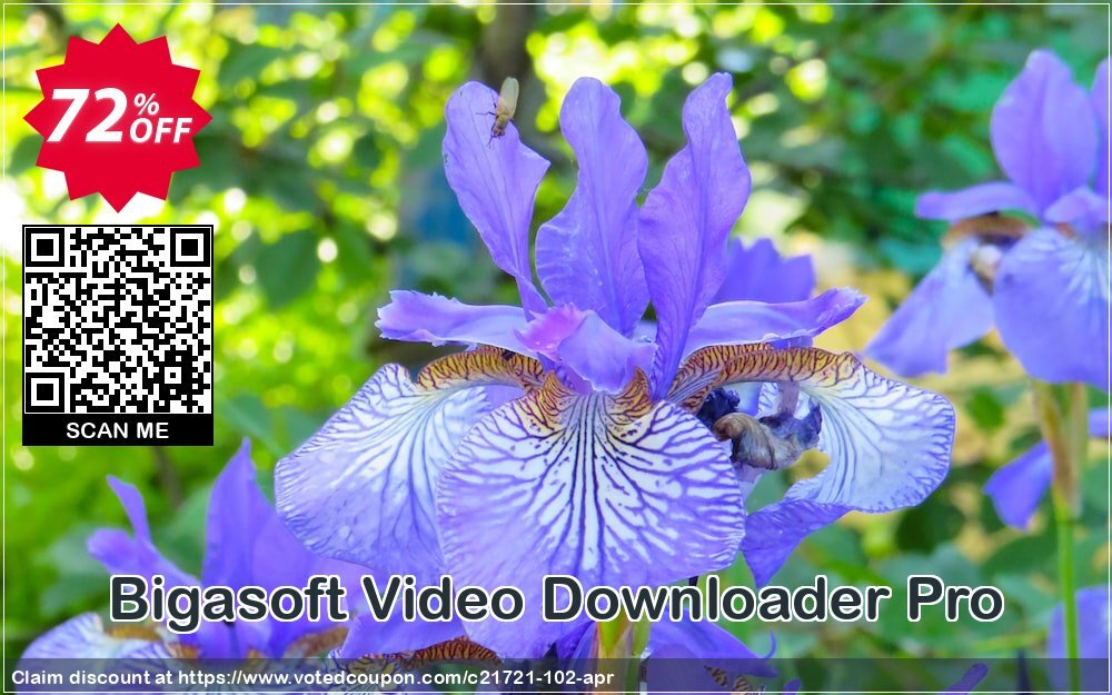 Bigasoft Video Downloader Pro Coupon, discount Bigasoft Coupon code,Discount , Promo code. Promotion: 1 year 30% OFF Discount , Promo code