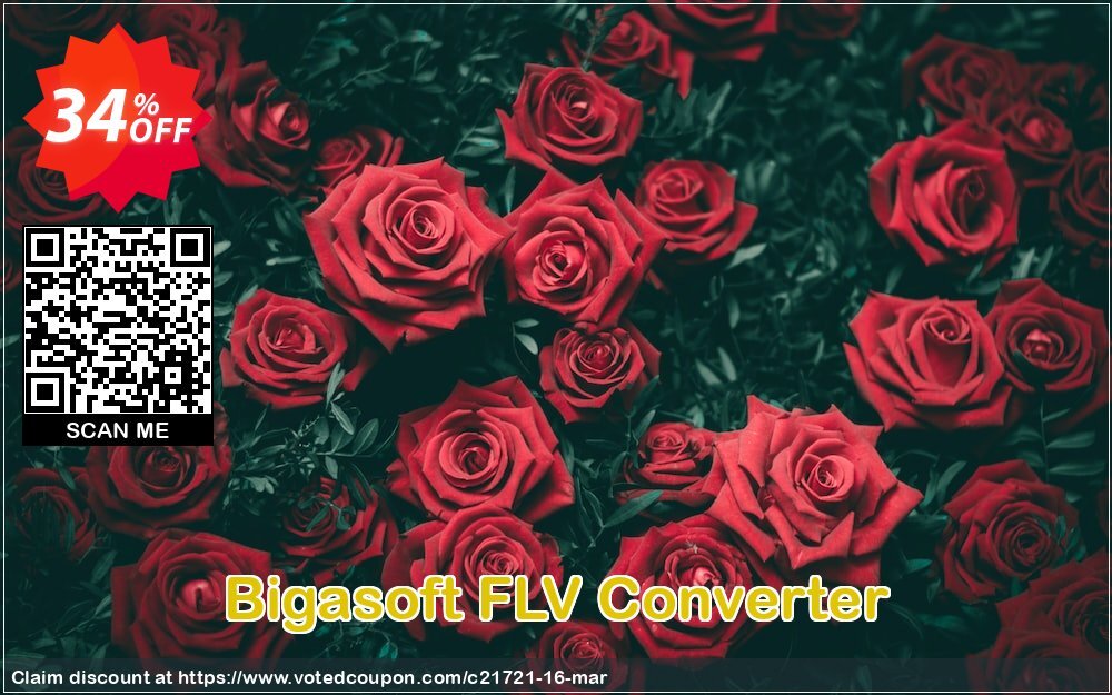 Bigasoft FLV Converter Coupon, discount 1 year 30% OFF discount  coupon discount. Promotion: 1 year 30% OFF Discount , Promo code