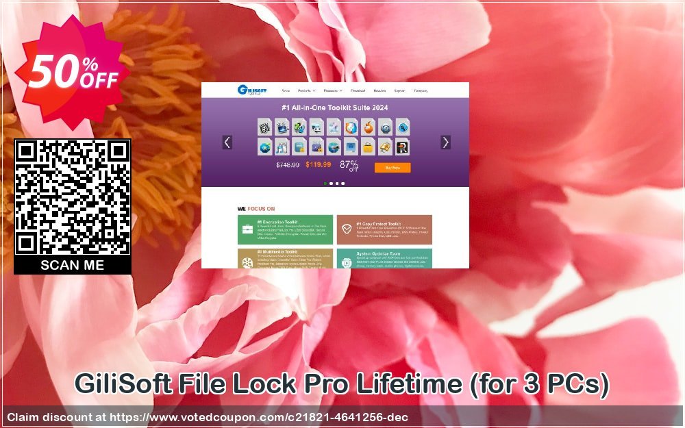 GiliSoft File Lock Pro Lifetime, for 3 PCs 