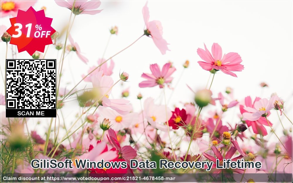 GiliSoft WINDOWS Data Recovery Lifetime Coupon Code Apr 2024, 31% OFF - VotedCoupon