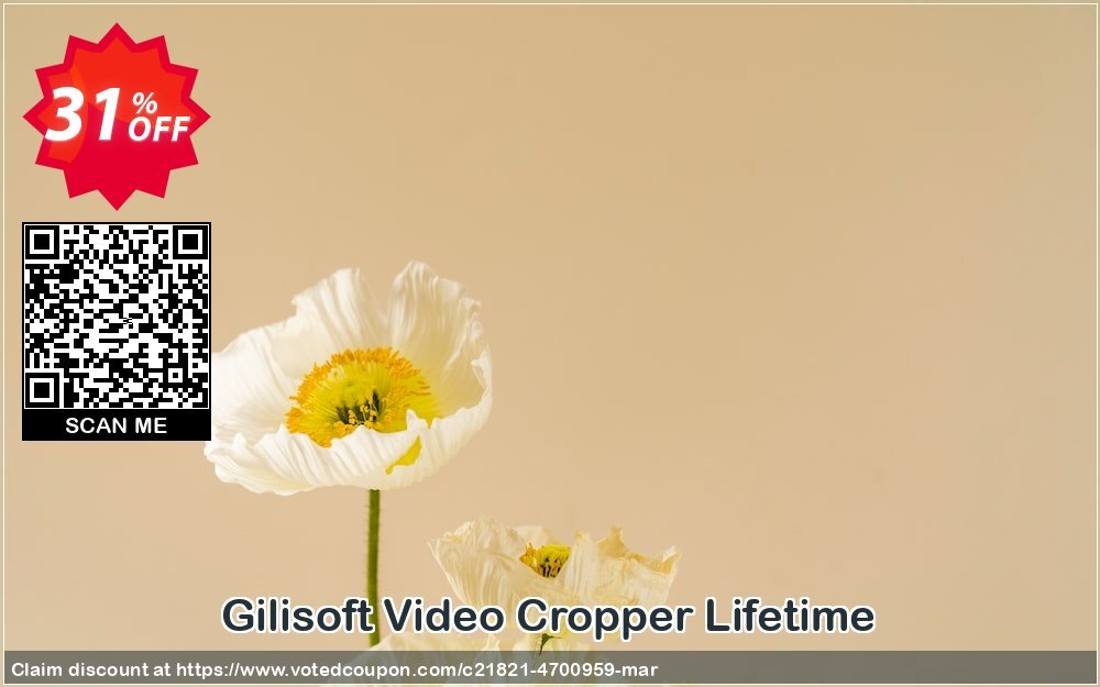 Gilisoft Video Cropper Lifetime Coupon Code May 2024, 31% OFF - VotedCoupon