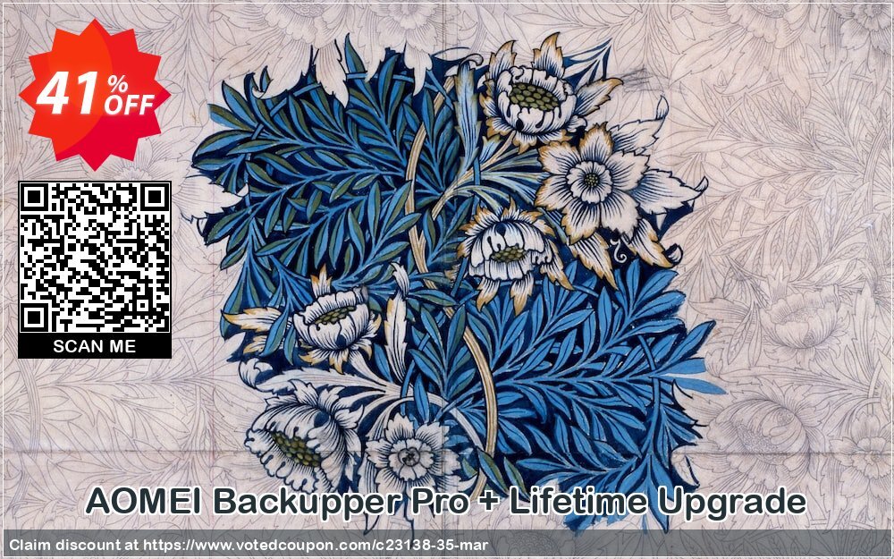 AOMEI Backupper Pro + Lifetime Upgrade voted-on promotion codes