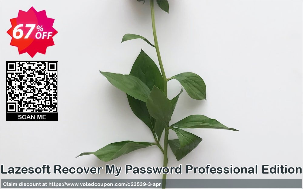 Lazesoft Recover My Password Professional Edition