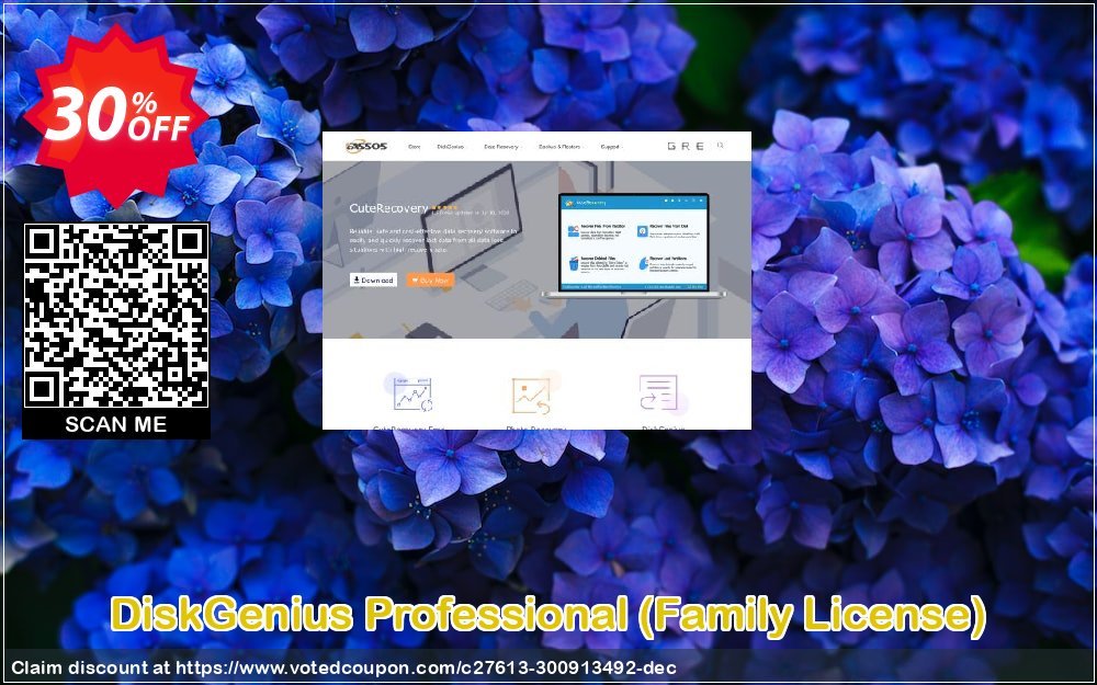 DiskGenius Professional, Family Plan  Coupon, discount 30%off P. Promotion: One sale OFF