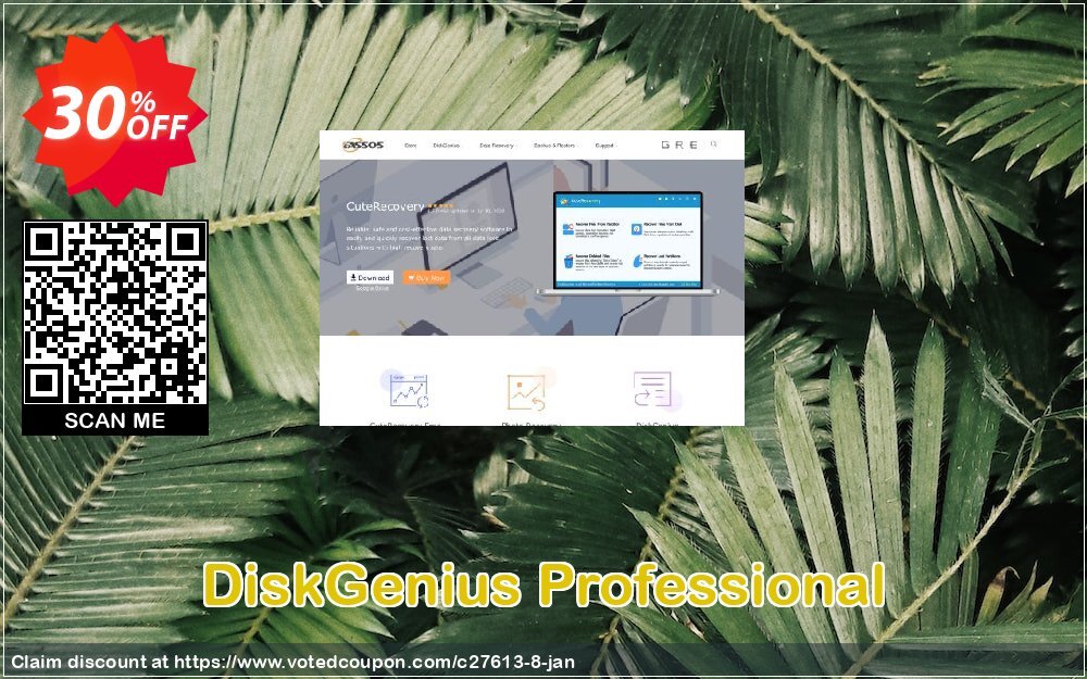 DiskGenius Professional voted-on promotion codes