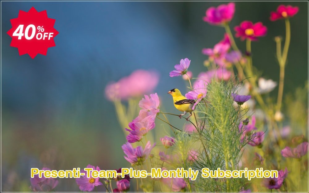 Presenti Team Plus Monthly Subscription Coupon Code Dec 2025, 40% OFF - VotedCoupon