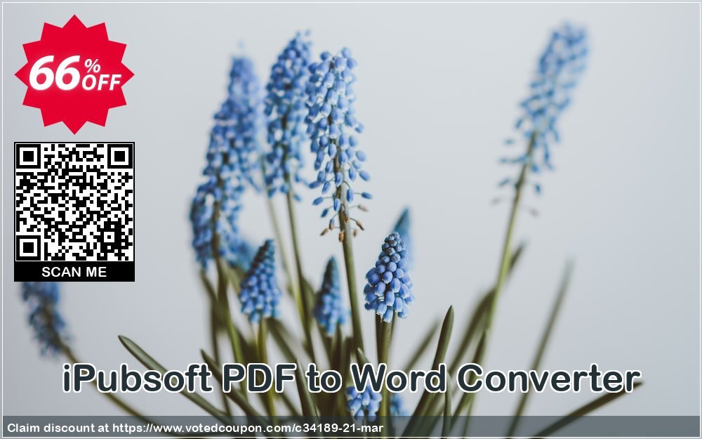 iPubsoft PDF to Word Converter Coupon, discount 65% disocunt. Promotion: 