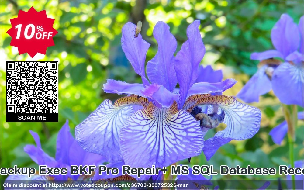 Backup Recovery Toolkit, Backup Exec BKF Pro Repair+ MS SQL Database Recovery /Single User Plan/ Coupon Code Apr 2024, 10% OFF - VotedCoupon