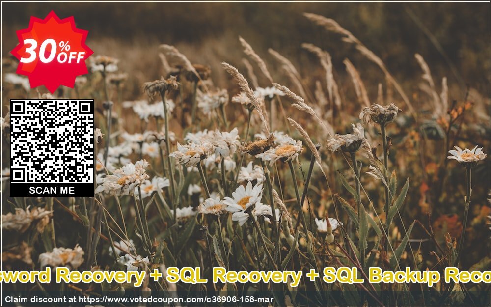 Bundle Offer - SQL Password Recovery + SQL Recovery + SQL Backup Recovery, Personal Plan  Coupon, discount SysTools Summer Sale. Promotion: 