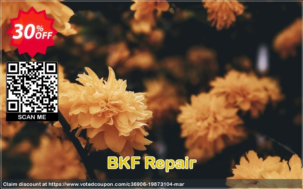 BKF Repair Coupon Code Apr 2024, 30% OFF - VotedCoupon