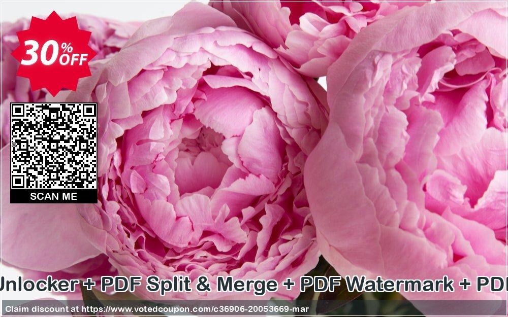 BO - PDF Recovery + PDF Unlocker + PDF Split & Merge + PDF Watermark + PDF Form Filler + PDF Toolbox